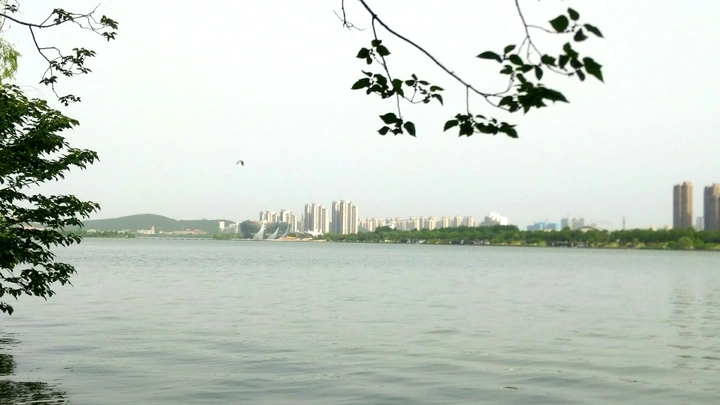 清晨的云龙湖