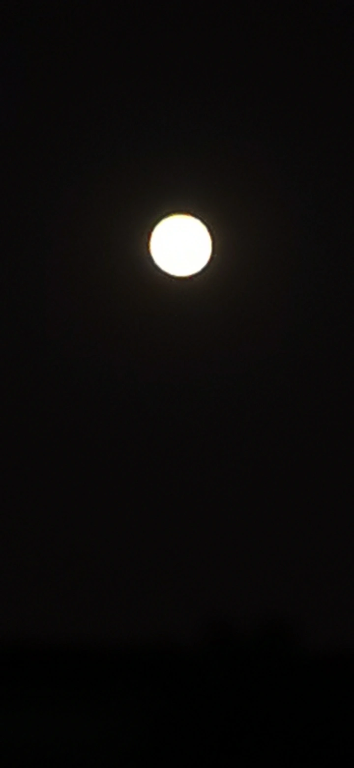 日夜