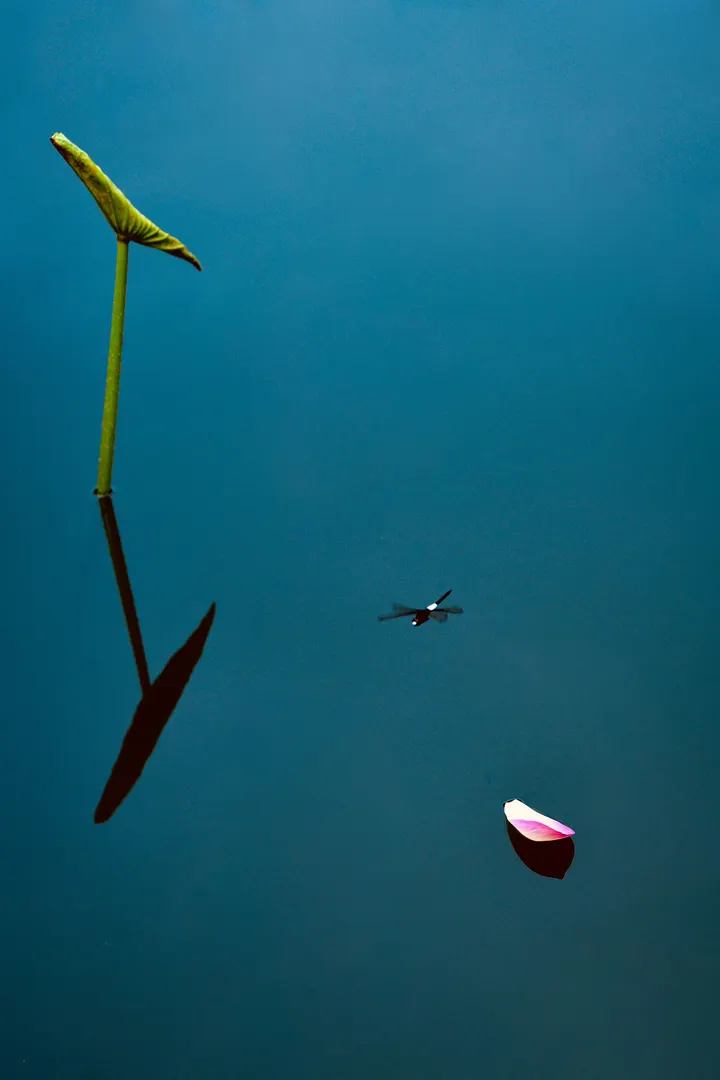 落荷