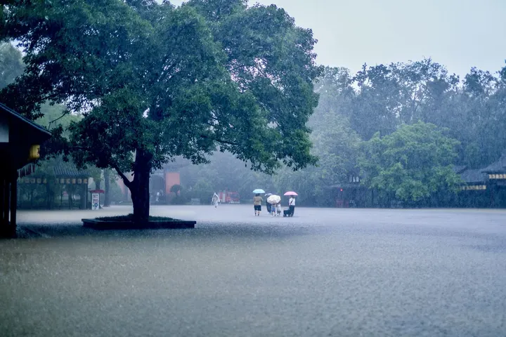 大雨