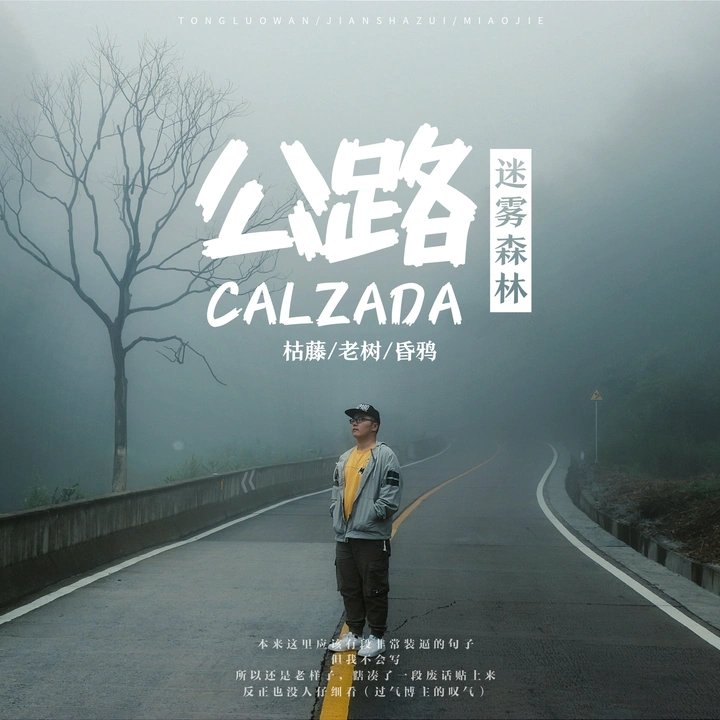 迷雾森林
