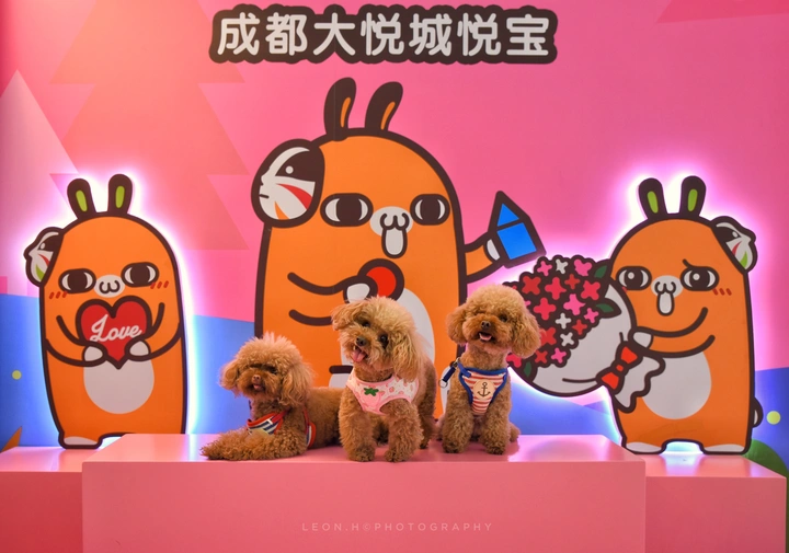 大悦城三宝
