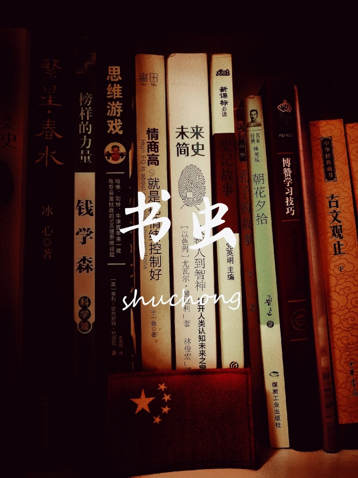 书虫