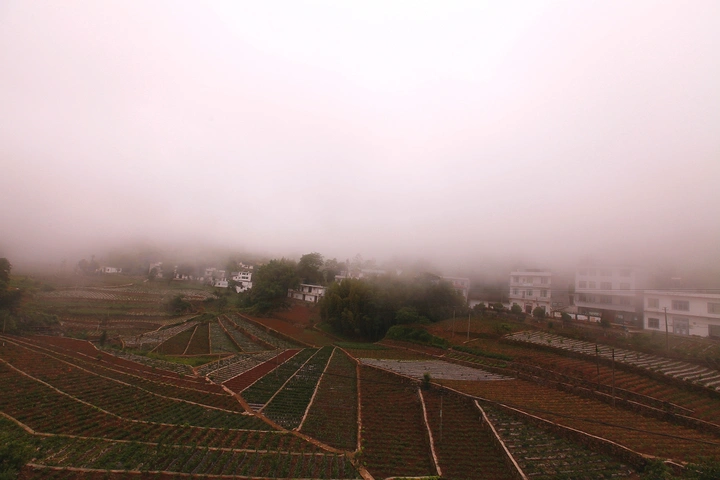 晨雾纤陌中的小山村