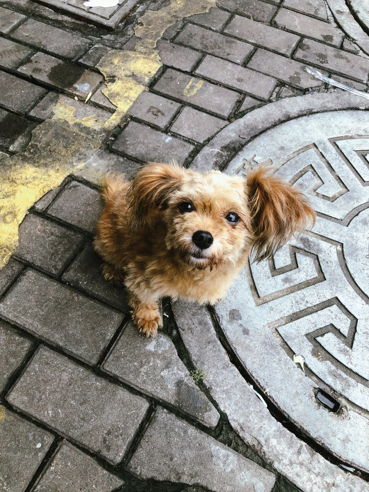 渴望