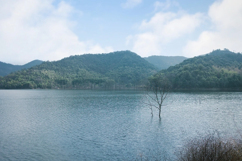 环绕着山丘和树木的一个湖泊