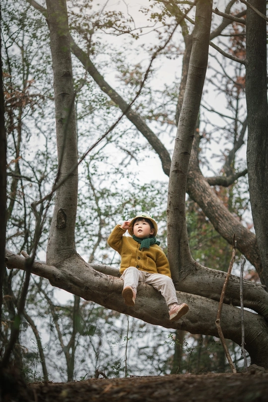 一个男孩坐在树枝上 在森林里 抬头看着树枝。