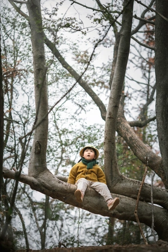 一个年轻男孩或小女孩坐在树林中的一棵树枝上