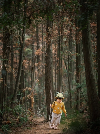 一个小男孩穿过森林 手里拿着一根小木棍。