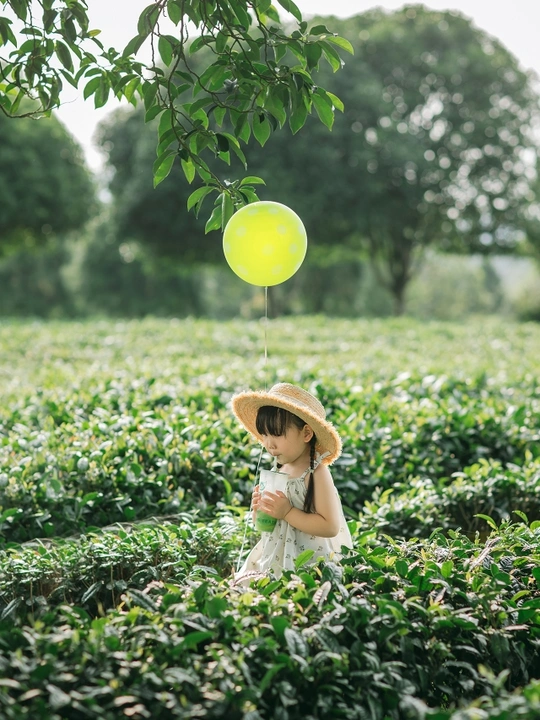 一个小女孩戴着帽子 手里拿着一个黄气球在田野里。