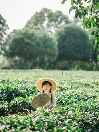 一位戴着帽子 拿着雨伞的年轻女子和一个小女孩坐在茶园里。