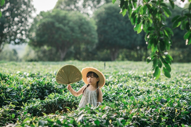一个小女孩戴着帽子 拿着雨伞站在田野里