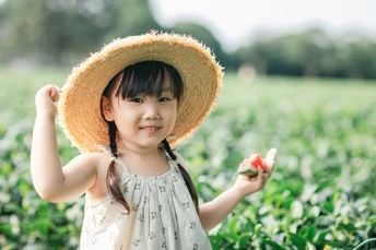 一个小女孩戴着草帽 手里拿着一个苹果 站在草莓地的草莓植株中间 小女孩正在吃一个苹果。