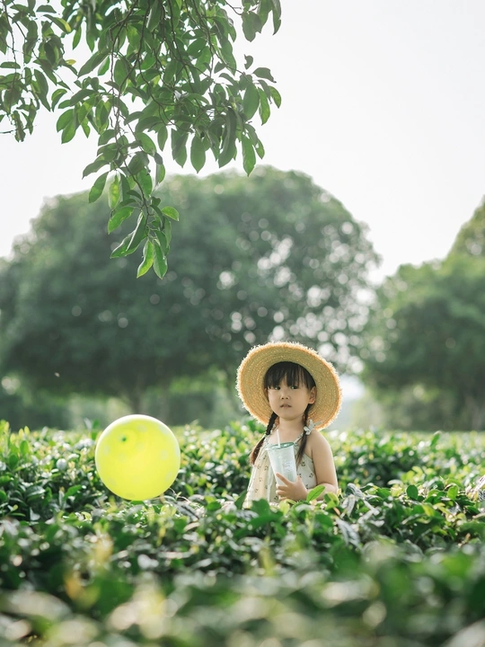 一个小女孩戴着帽子 拿着一个黄色气球 站在一片绿色的田野中。