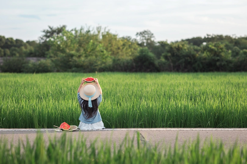 一个小女孩穿着裙子和小帽子站在路边 旁边有一片绿色的草地和花丛。