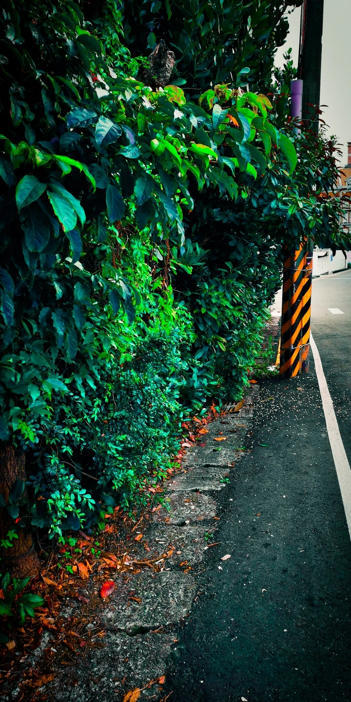 落