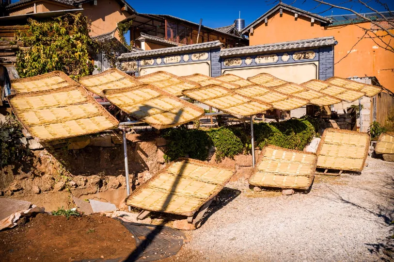 一堆在地面上的伞