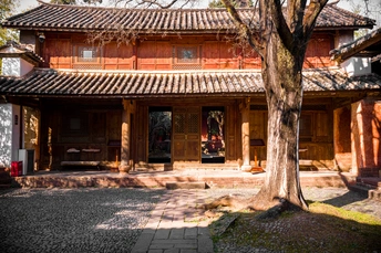 前面有树的大楼