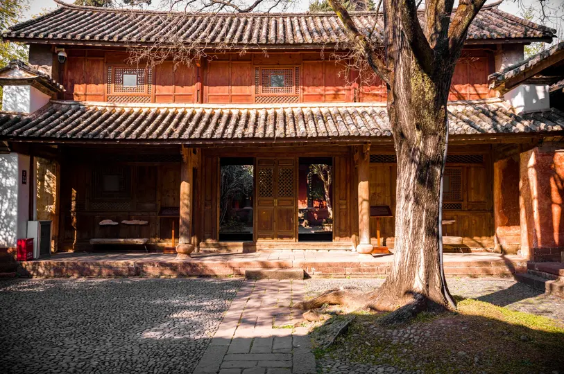 前面有树的大楼