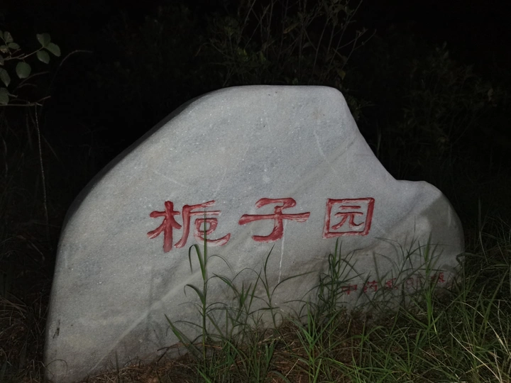 栀子花