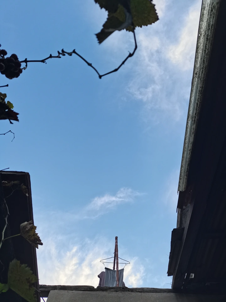 生活