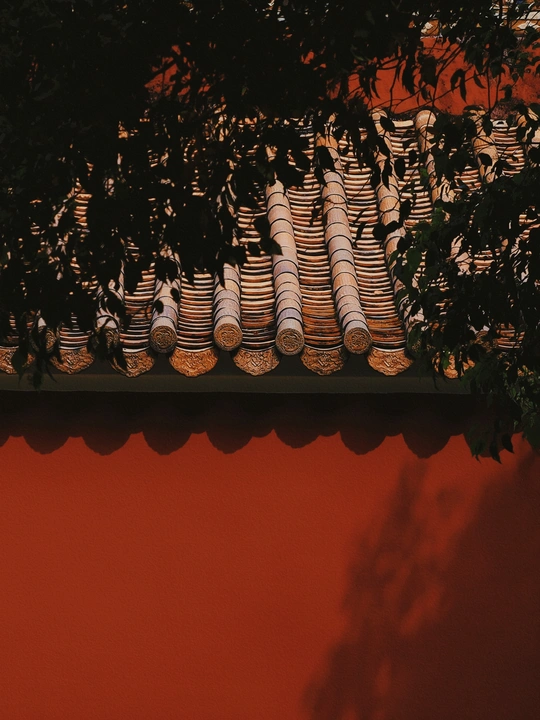 带有红色墙壁的楼房屋顶