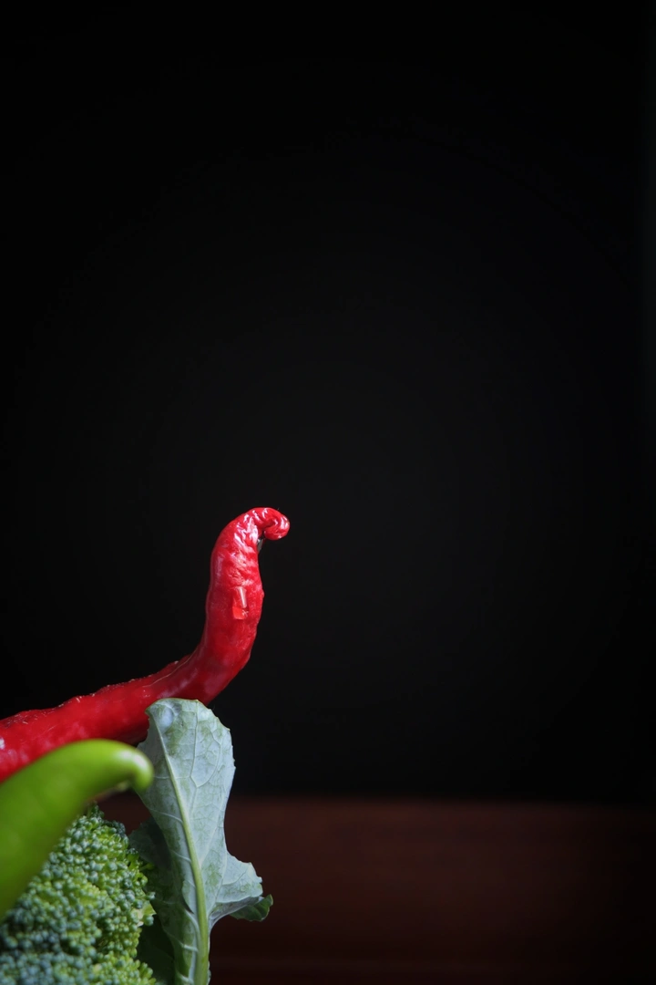 蔬菜