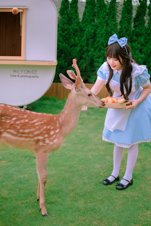 一个小女孩穿着蓝色裙子正在给一只小鹿喂食