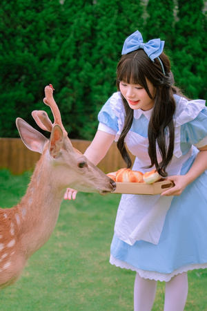 蓝色衣服的小女孩抱着苹果喂鹿