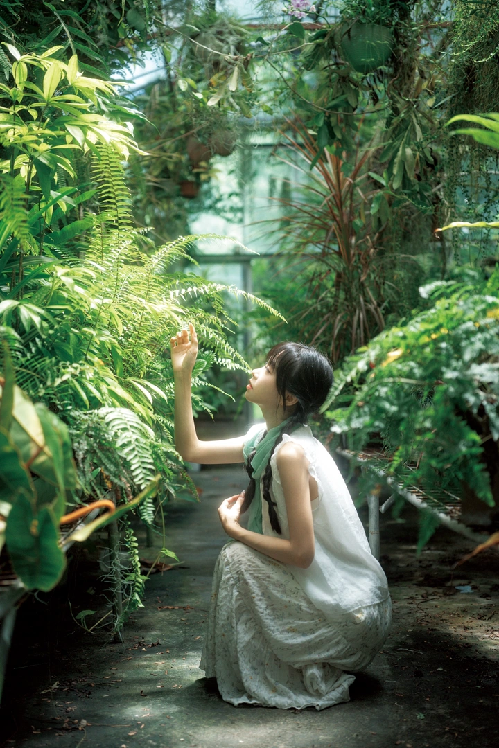 像植物一样光合作用