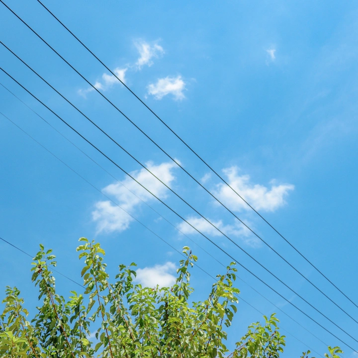悠长夏日