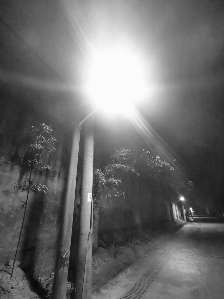 仰望路灯