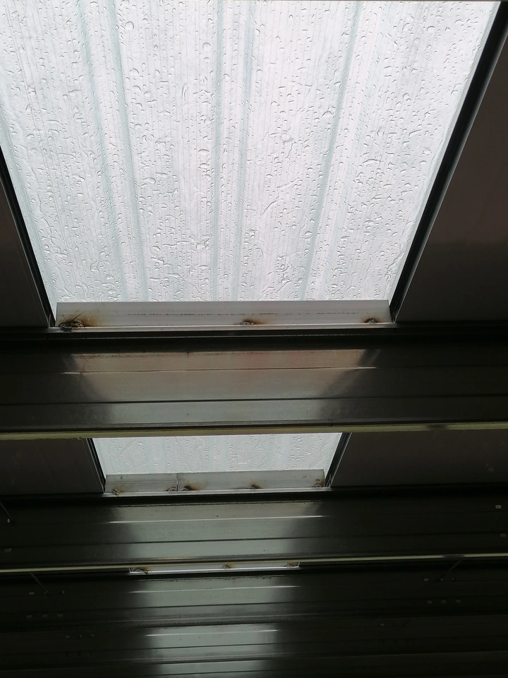 雨棚