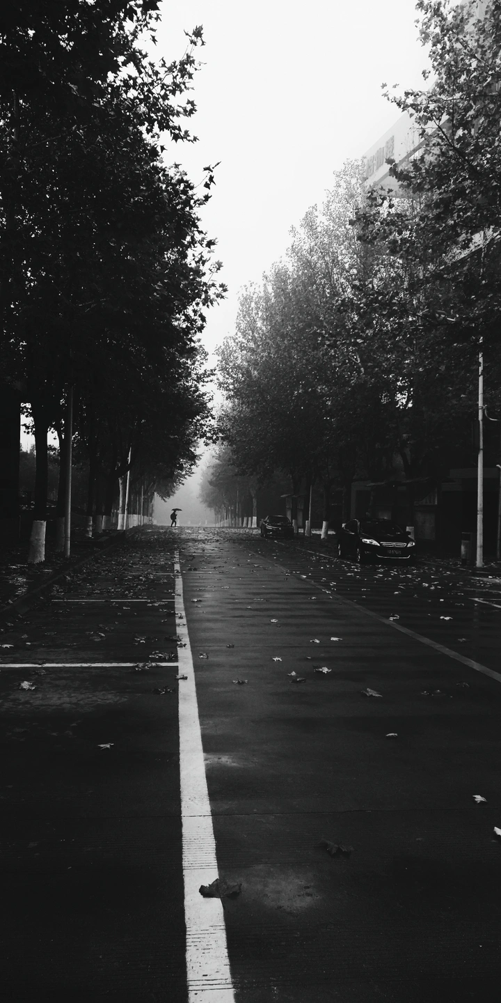 那些你很冒险的梦