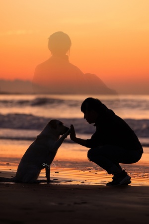 一个人在海滩上跪着 他的狗在用爪子玩