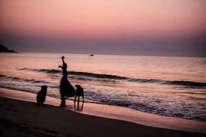 夕阳下 一个人和一只狗站在海滩上 背景是海洋的剪影。