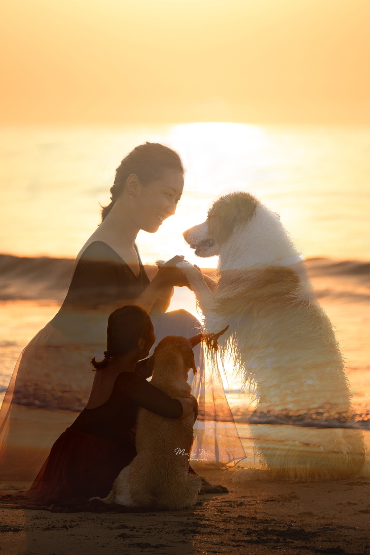 一个在日落时与狗在海滩上玩耍的女人