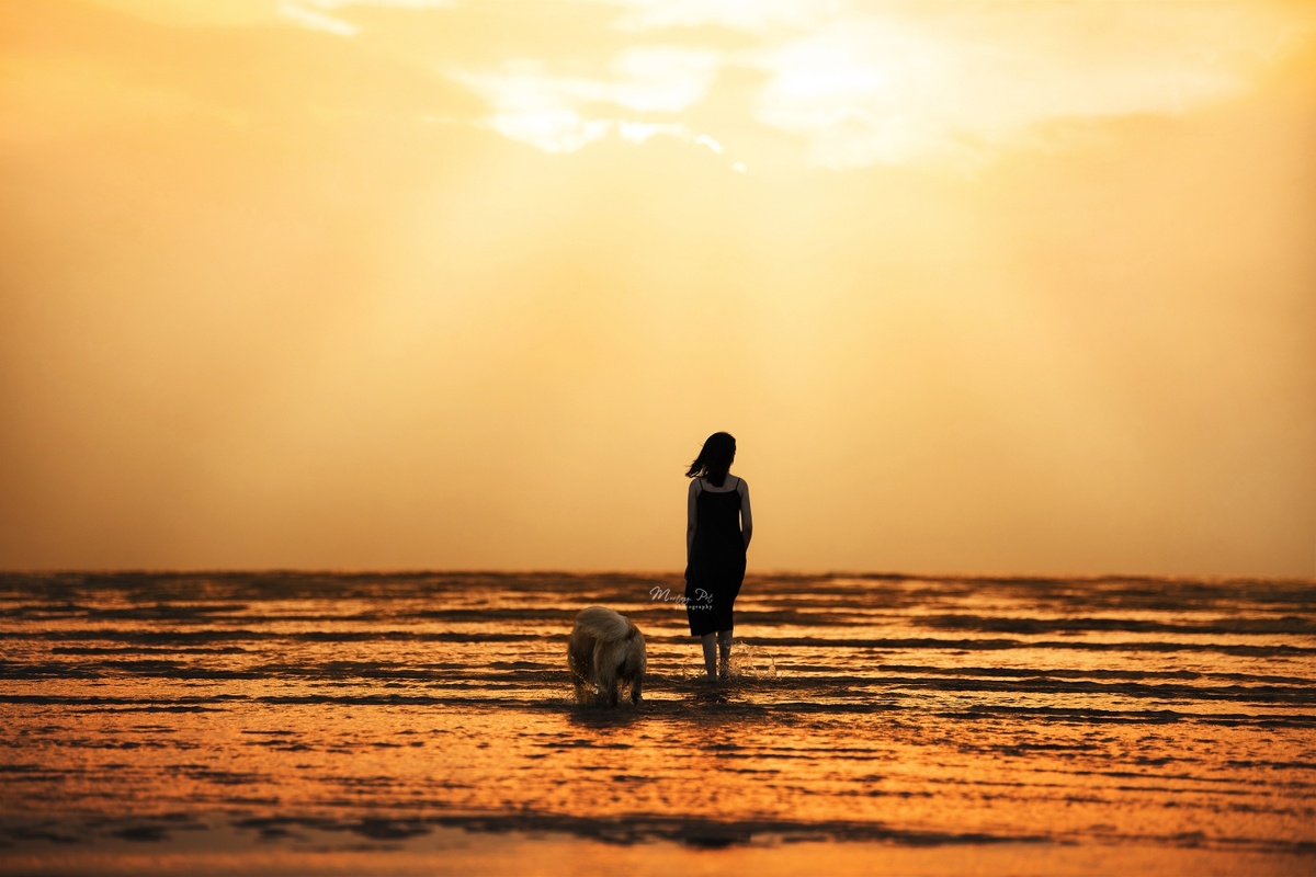 夕阳下 一位女子和一只狗在沙滩上行走 女孩站在水中。