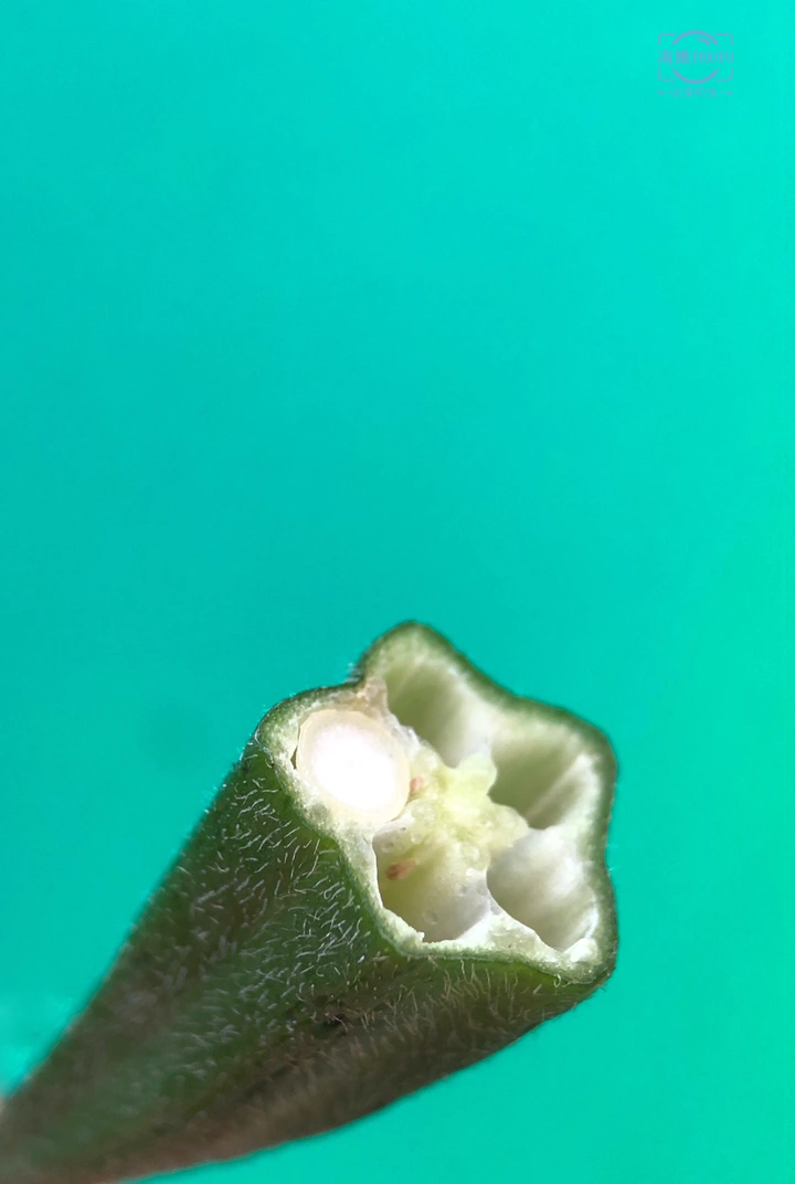 简