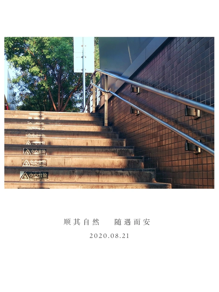随遇而安