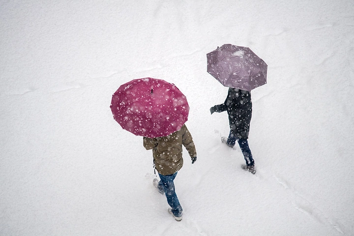 雪中即景