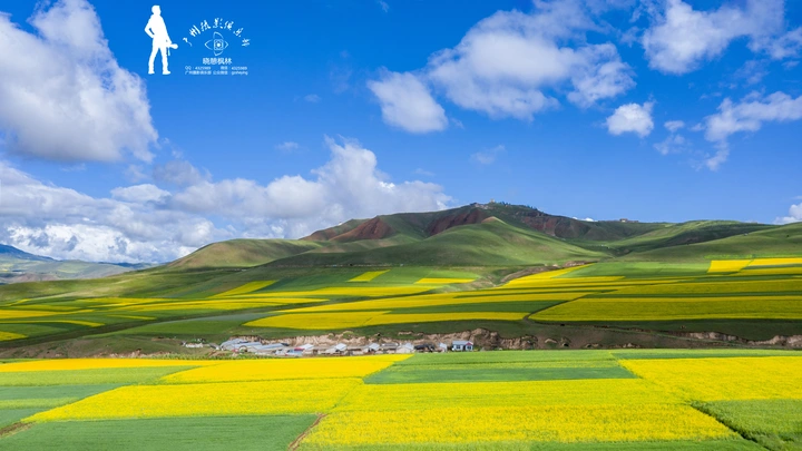 祁连山卓尔山脚下的人间仙境！航拍卓尔山油菜花海美到窒息