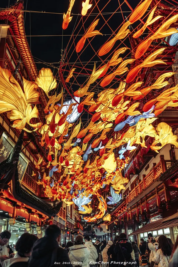 豫园 | 一夜鱼龙舞