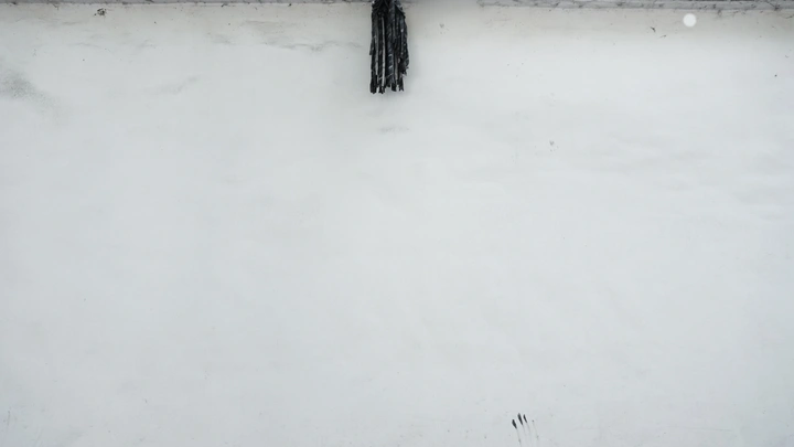 悬空的拖把，铁筑的鸟巢，，街角的消防栓像