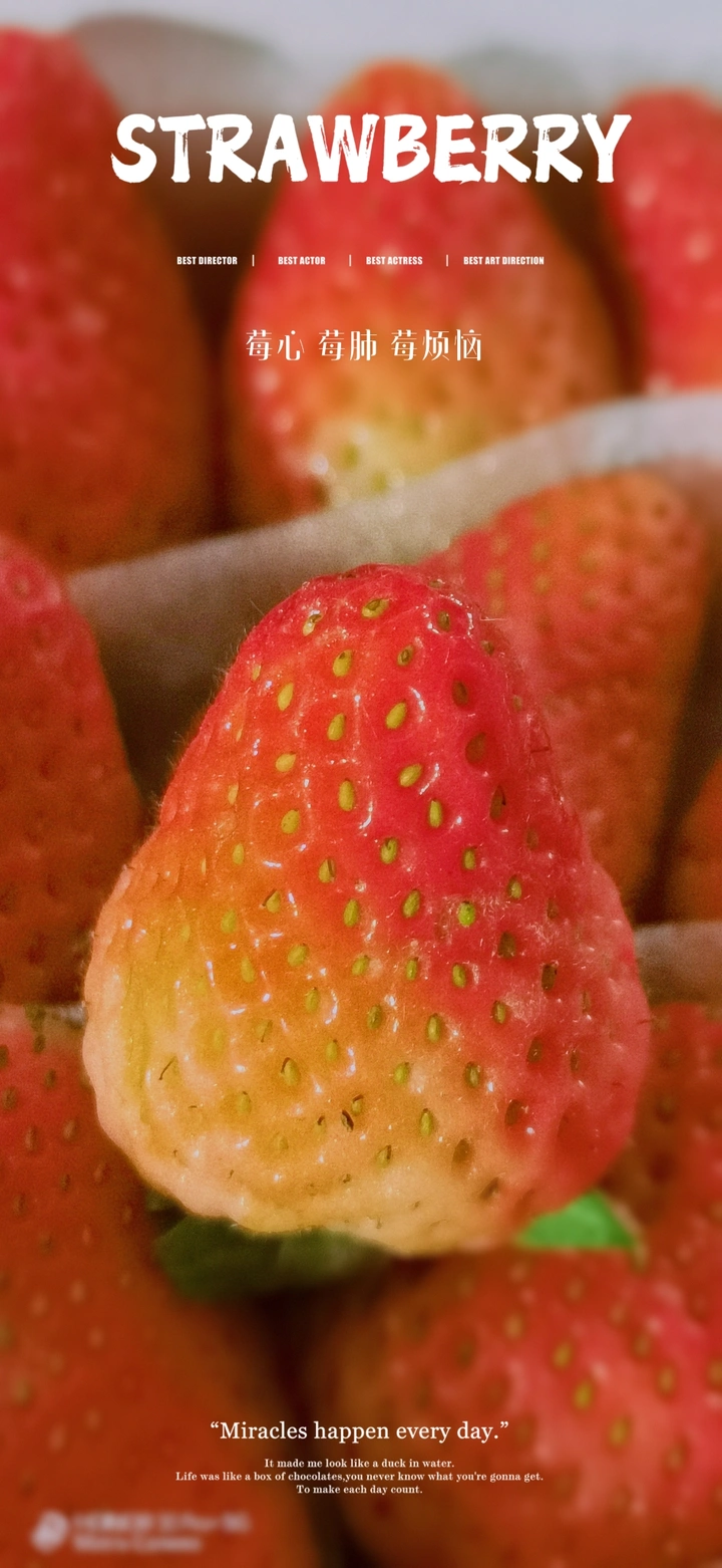 淡定的草莓