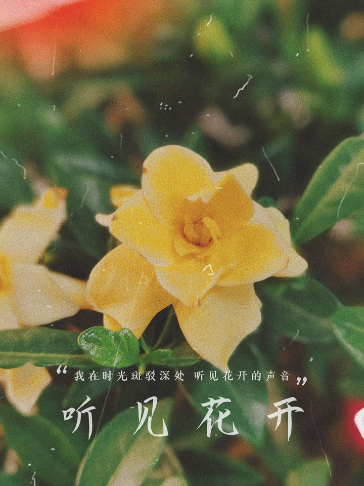 春暖花开