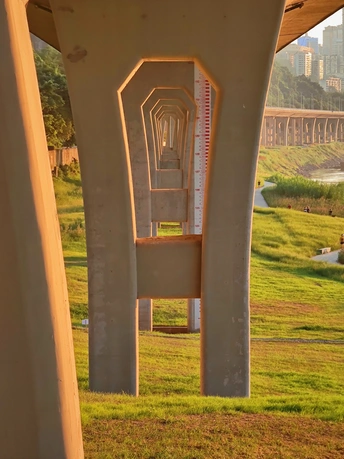 河上的一座桥 下面有草