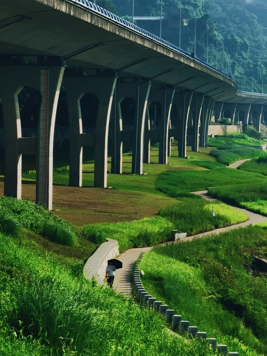 有绿草和桥的公园