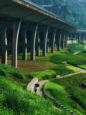 有绿草和桥的公园