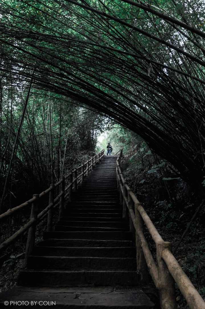 林间狭径